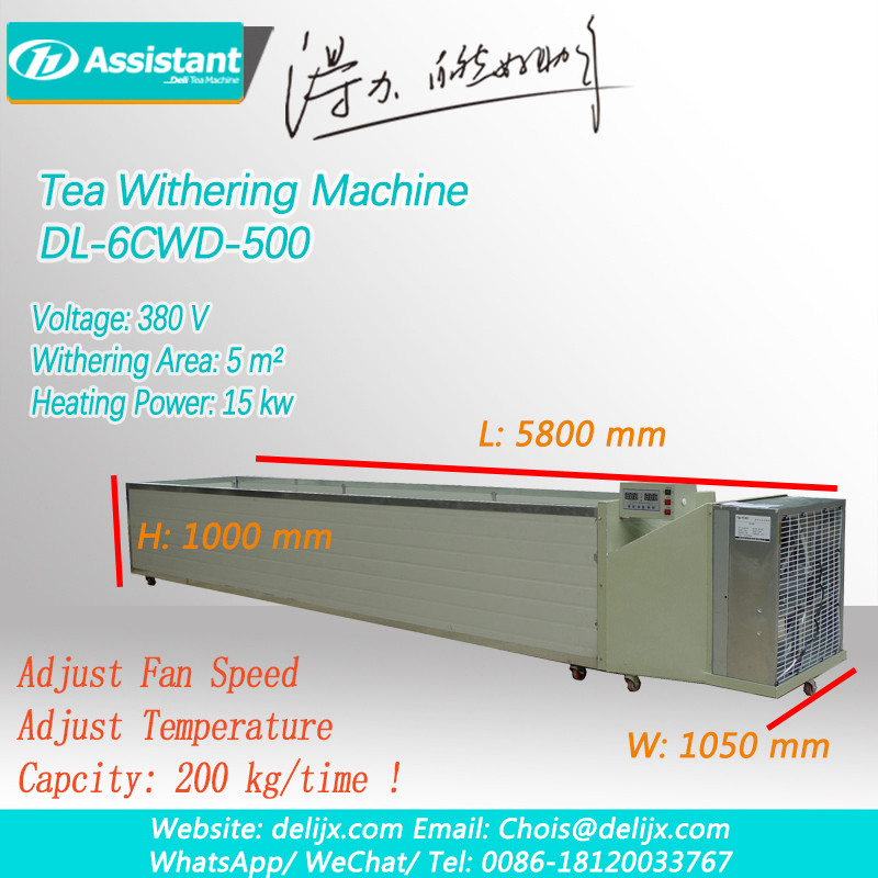 Làm thế nào để cài đặt máy trà khô héo trà quy trình xây dựng các bước dl-6cwd-500