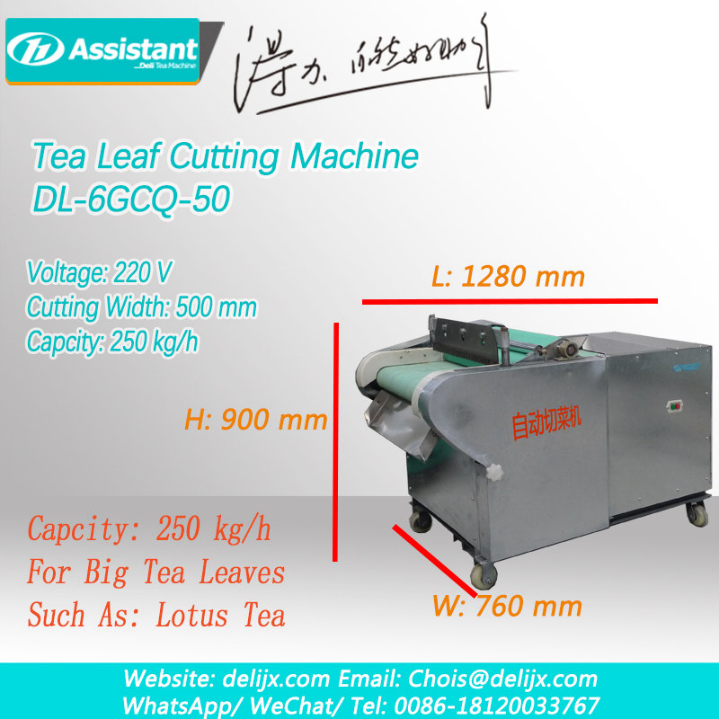 máy cắt lá trà xanh lá trà shredder máy cắt lá sen dl-6gcq-50