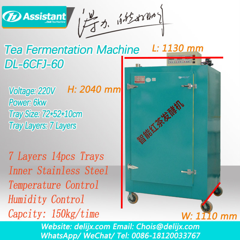trà fermation máy trà đen quá trình lên men của lá trà lên men trà dl-6cfj-60